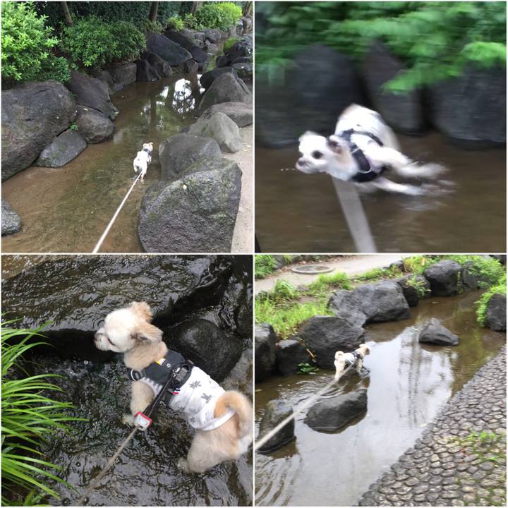 D9883be6 fda1 42c4 b8d7 093939dc9a0b 1561959445084