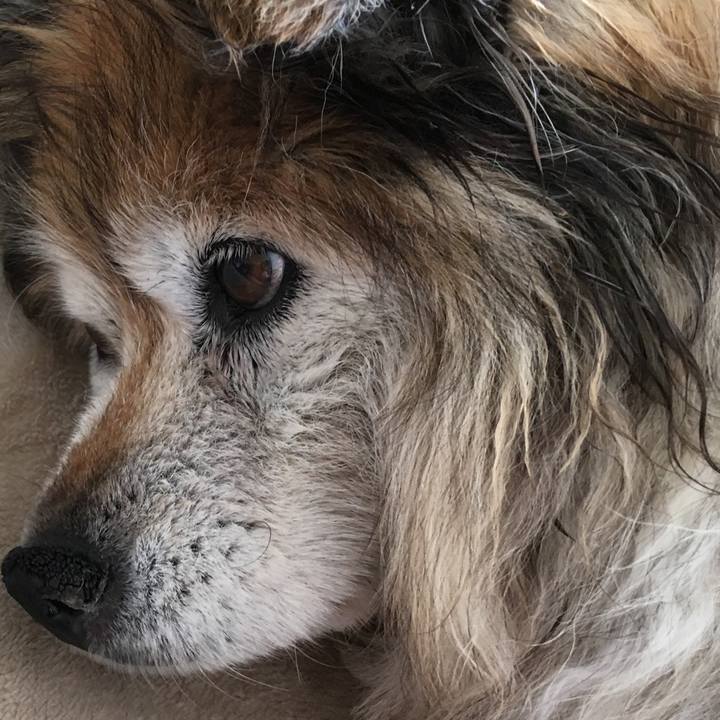 D9885a58 2001 4ac5 8beb 374eeb4dcb49 1622292142705