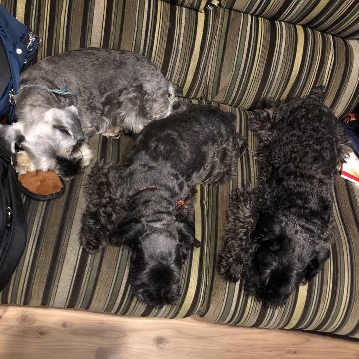 D9889450 1729 4e8c 9818 3ee7393af033 1531479688270