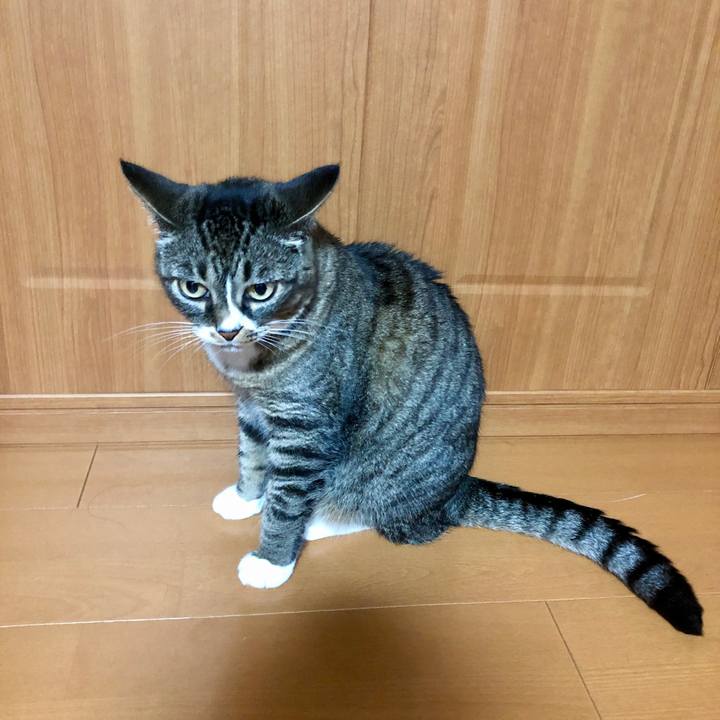 D98906de 2c8b 4eae 8f20 945d77dc93ff 1763800285284