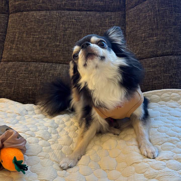 D9893997 246b 4c0e b509 b232829409fb 1742747124838