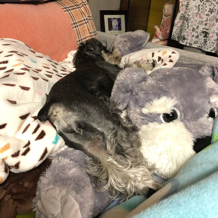 D9893ffc 743d 4d50 b0b1 f12f15cd6c8e 1652792268502