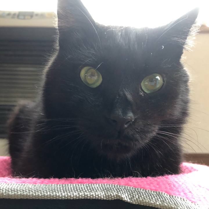 D98948ee 435b 4102 9911 2fffeb52543f 1570228724468