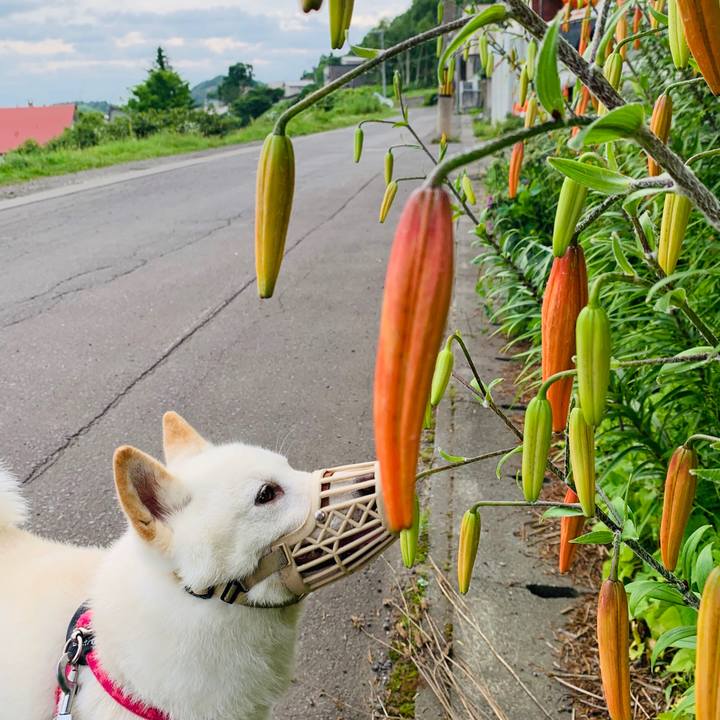 D9897b73 9615 4a34 bd0a 3d10a471c162 1564438603197