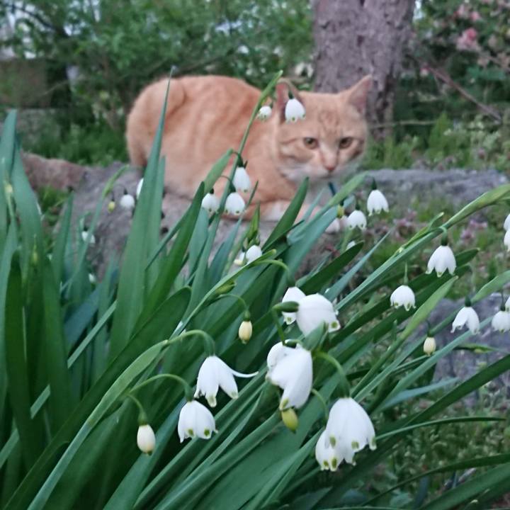 D989adc8 9e7d 4786 88b9 805ccd5e0983 1557049741803