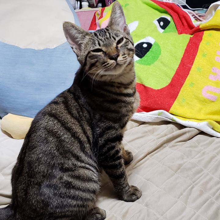 D98a0479 56de 435d be6c 0d032291d2de 1544183605347