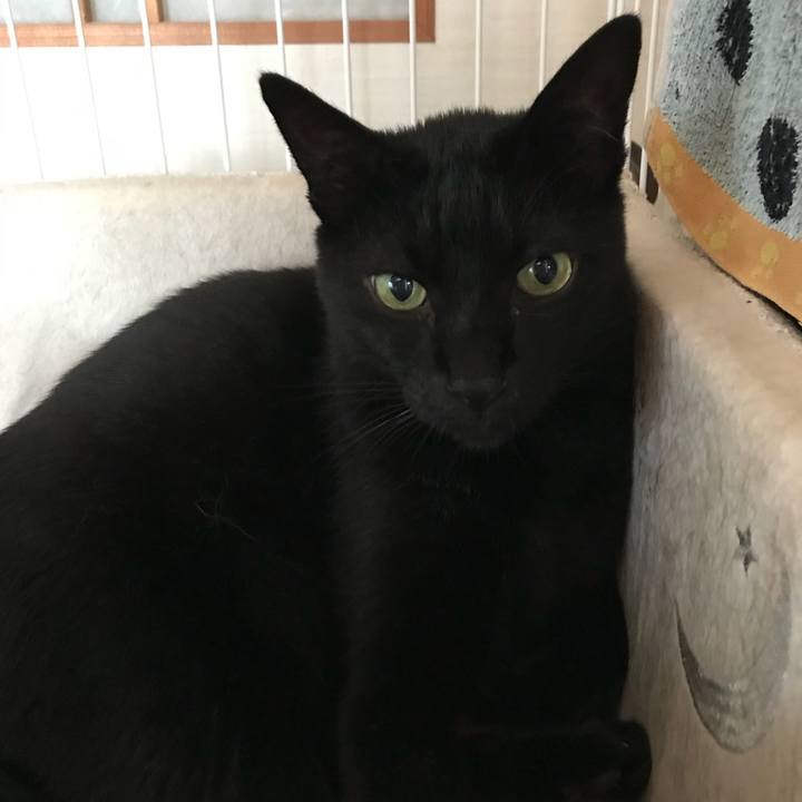 D98a0946 4101 4280 83b0 7f5f1a4f2f92 1534463839737