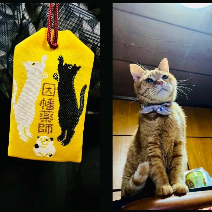 D98a2adb 621d 4376 be1e 75e26942b9fc 1770318617351