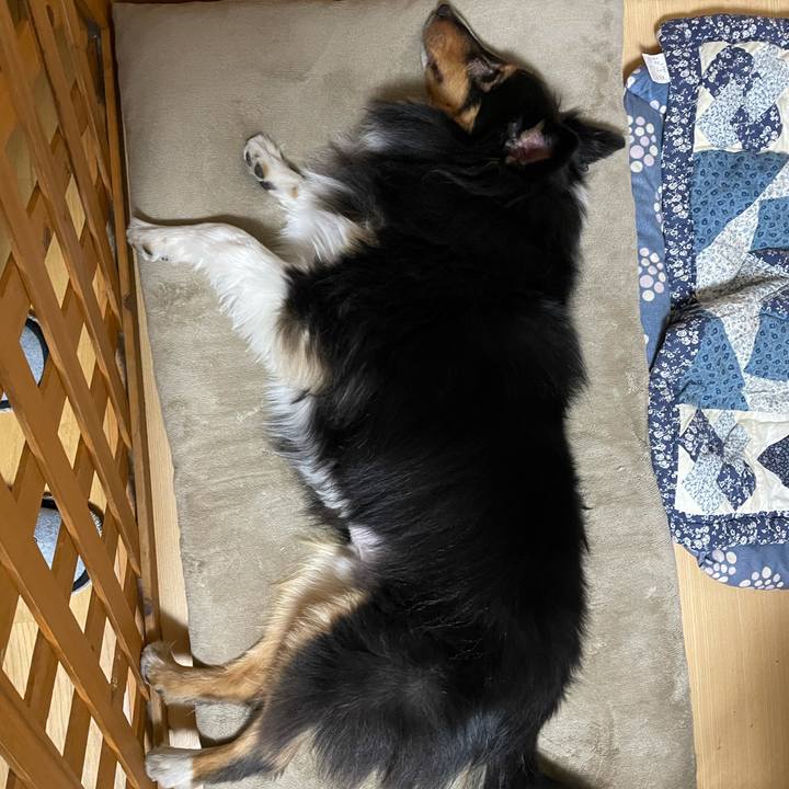 D98a387e 1a2c 465e 8df5 127e17a10573 1609768758428