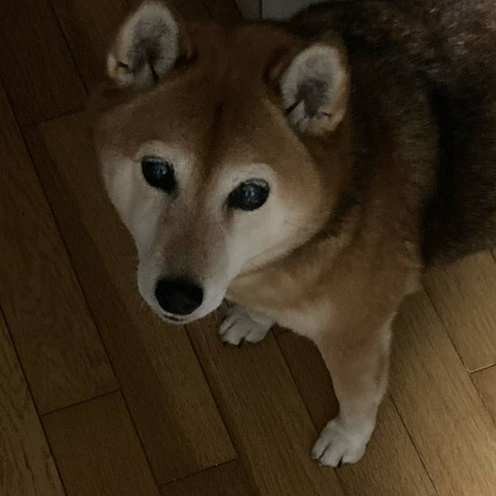 D98a968c 29db 4eb0 9441 ec607442f2e2 1639046572684