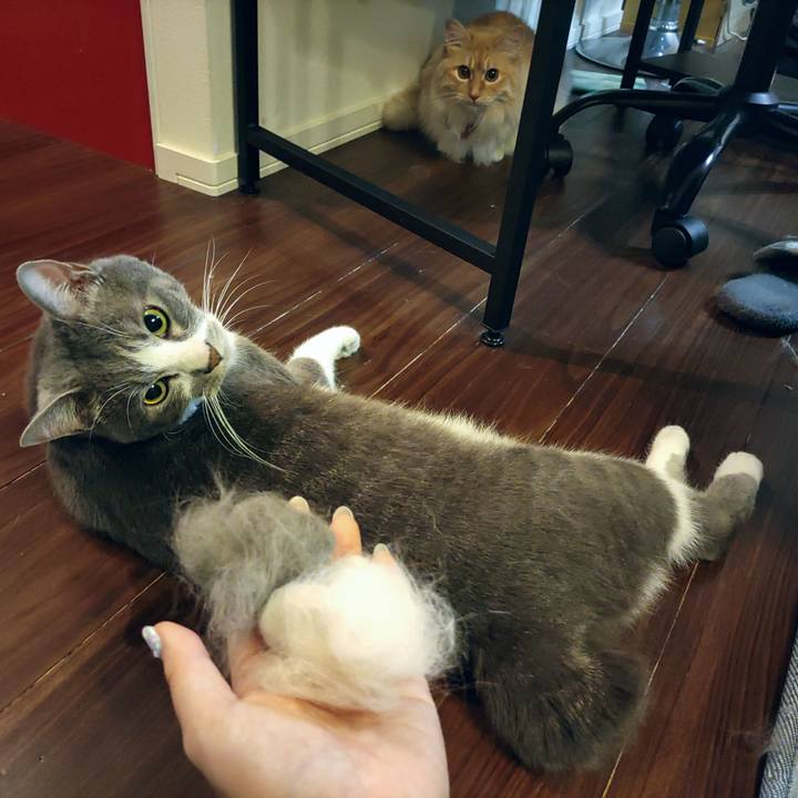 D98ab7a1 adb9 4537 a4c3 ec433b71079e 1653568687373