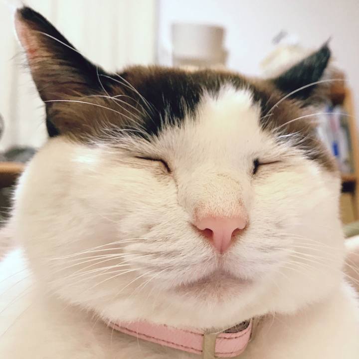 D98aefc1 afd0 4283 a57a d19553523535 1523190128679