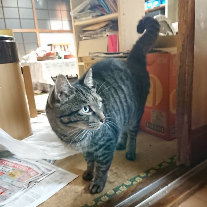 D98b150e f151 42d8 b0e0 c86bf90e7a8d 1633176921937