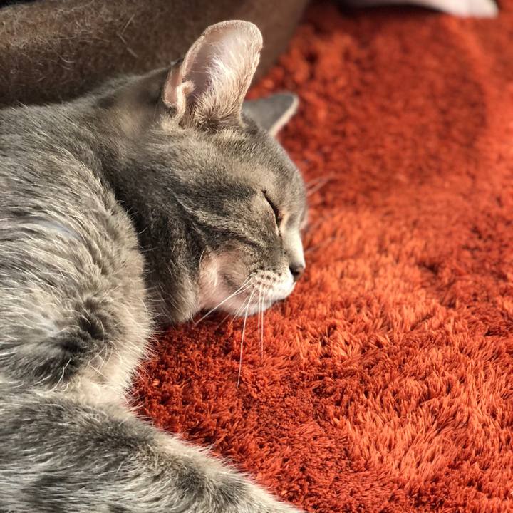 D98b1923 7bc8 471a acb0 537e2d04d23e 1519284150418