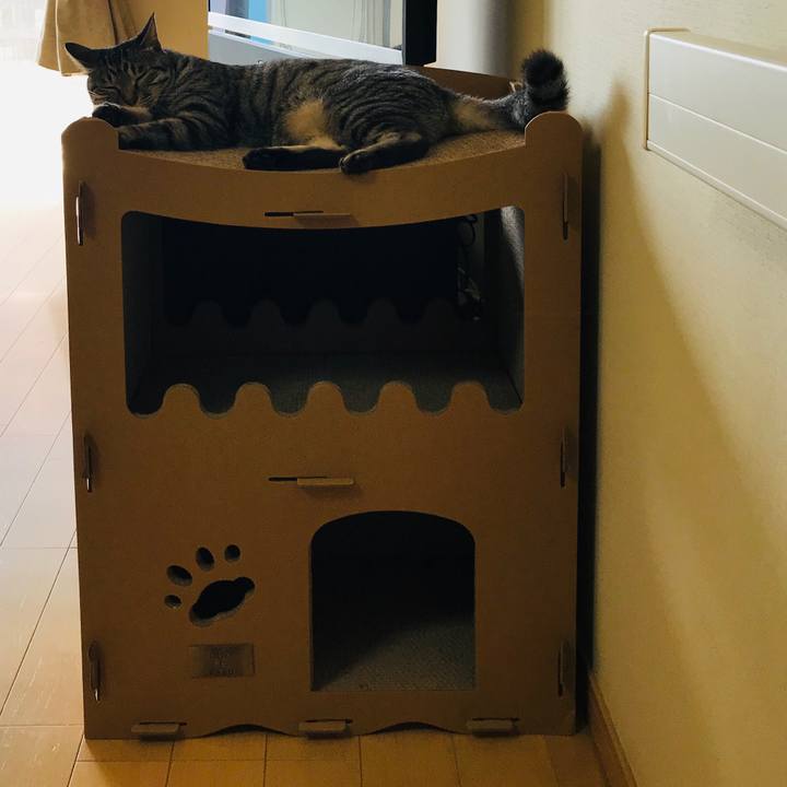 D98b64eb 70d4 469b b537 46a21d649fc0 1596242420714