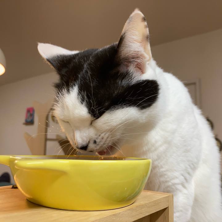 D98b8110 6547 431d 870c 4114b46c3a11 1769979774976