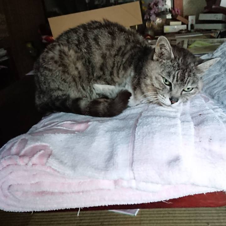 D98b9918 bc42 423e 9414 9e54c854bff9 1591177738863