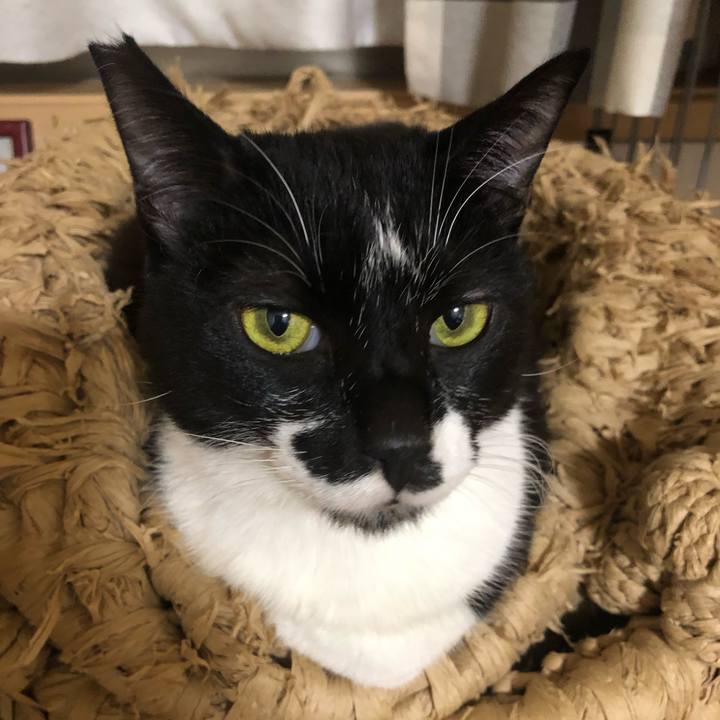 D98bc2fc b547 4362 9b59 a321db7f12b1 1548487785731