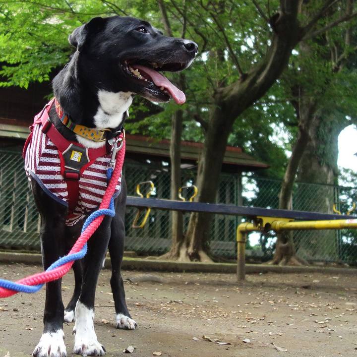 D98bc919 b525 4c2a 9137 1a435a15b905 1596499077325