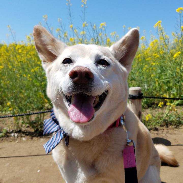 D98bdbba 2149 4140 96f7 40366fb268b2 1556977463928