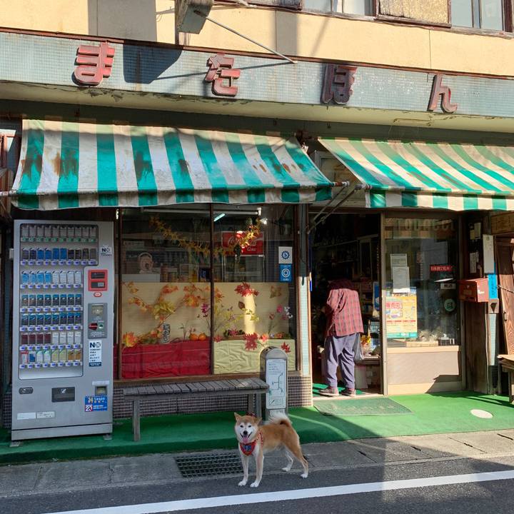 D98beed7 1951 44c8 833a 3a0a3031378c 1601282855128