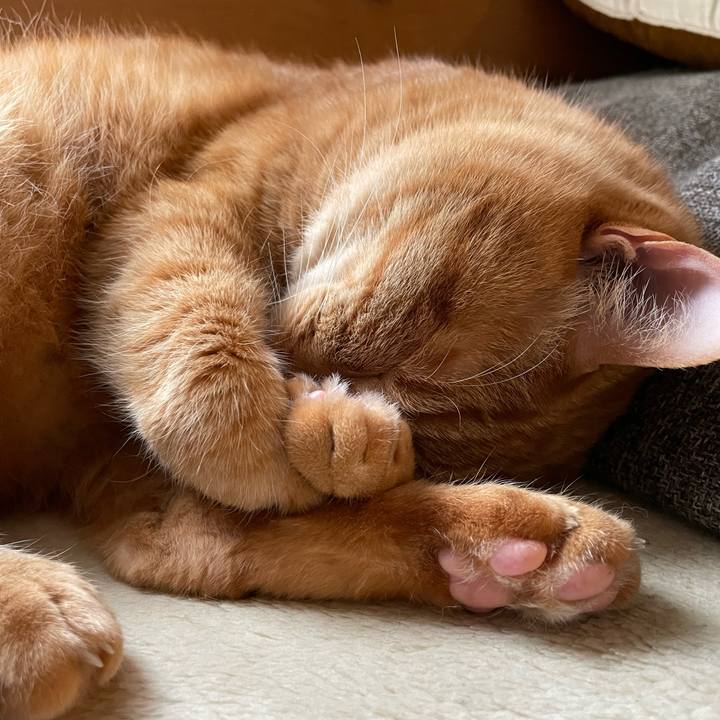 D98c0e26 c0b8 4a7d a562 38760dc6d897 1681105513987