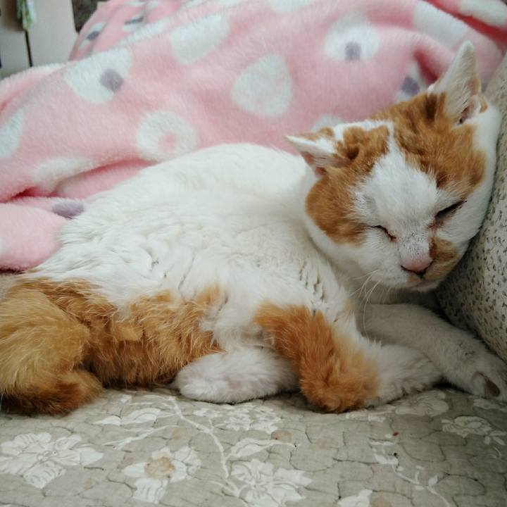 D98c6edc 9a08 400f 8ee3 cdf35d6d035e 1566615485984