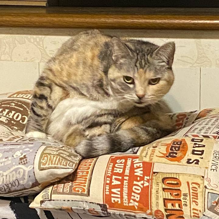 D98c7fb1 4758 49f2 a48b 735dafde0306 1669737896049