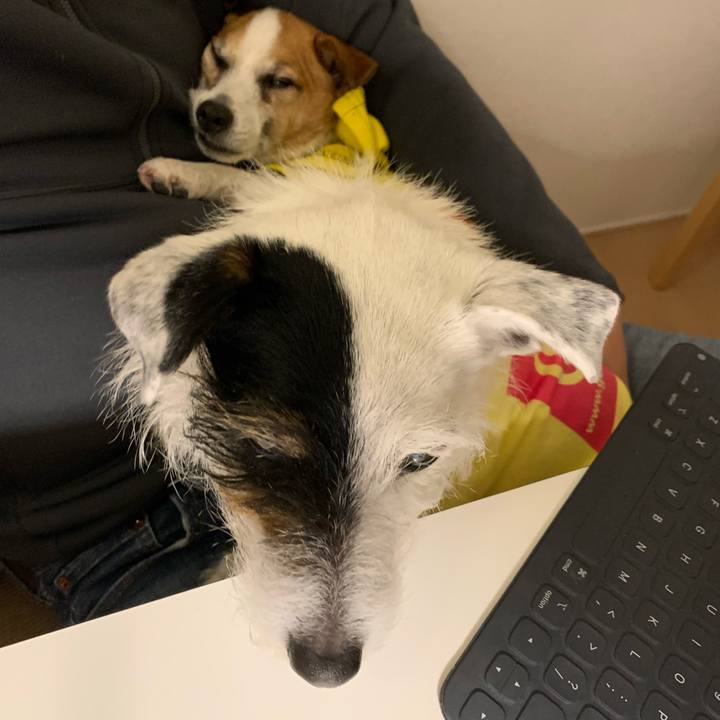 D98c8a8d aca4 427c 830f 45410c992d85 1647691325409