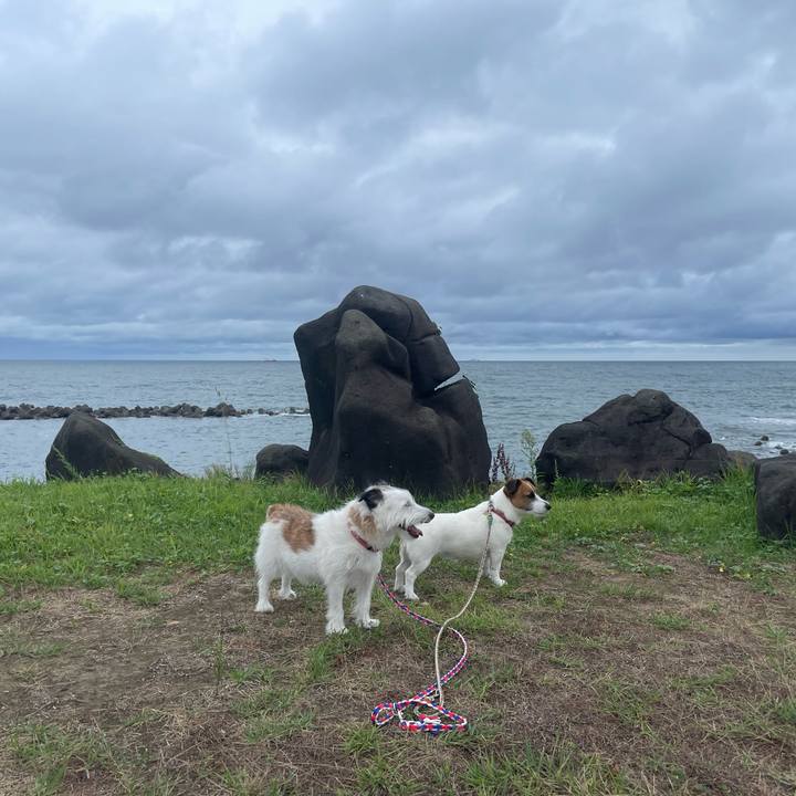 D98c9643 154d 4839 bb66 ff019146c88e 1725749986699