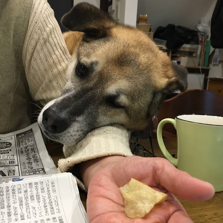 D98ca470 f09b 4d6a 8a4f 7cbb3494226e 1523103020363