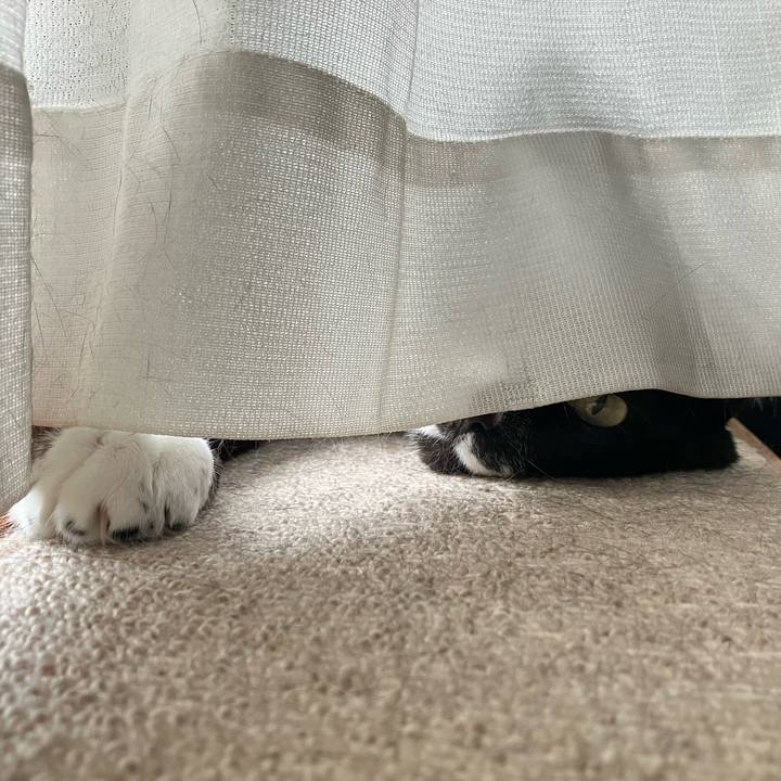 D98ca737 45ec 451d 9a11 b19586dc2fee 1756271652819