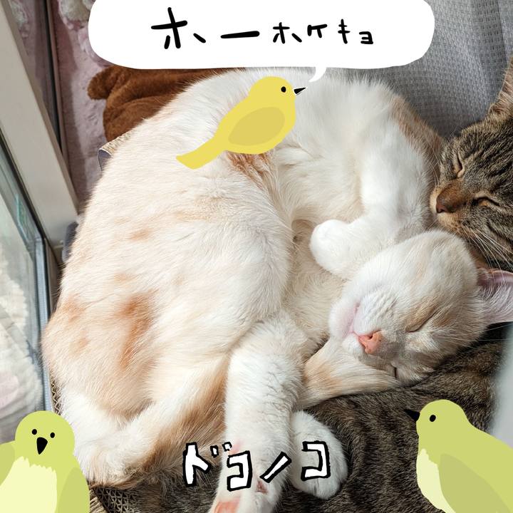 D98cc157 3360 4c6f af89 426ae4dd8406 1711337185416