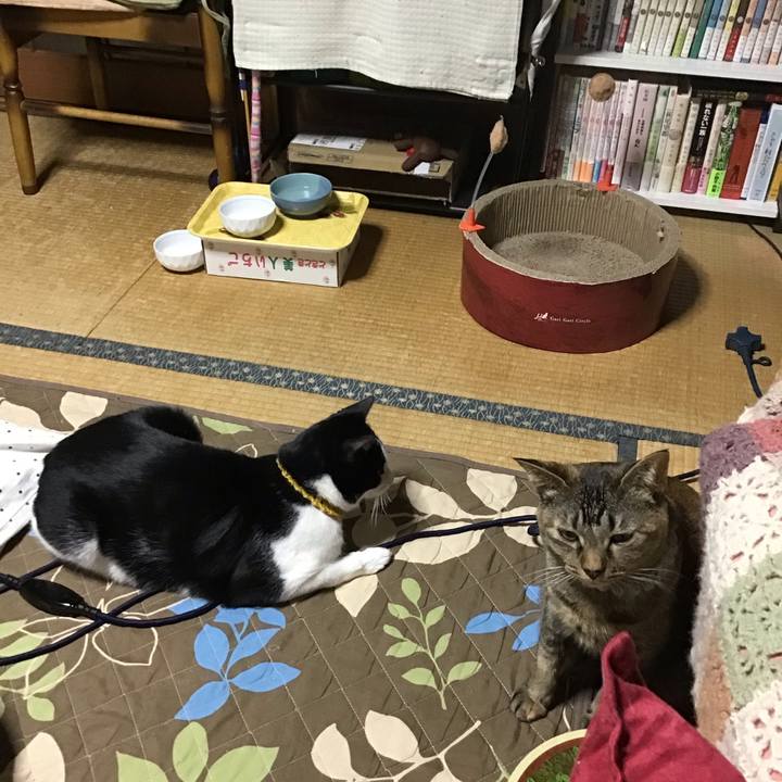 D98cd40e 3892 4bb2 a30f 41fb1bd74abf 1645435829636