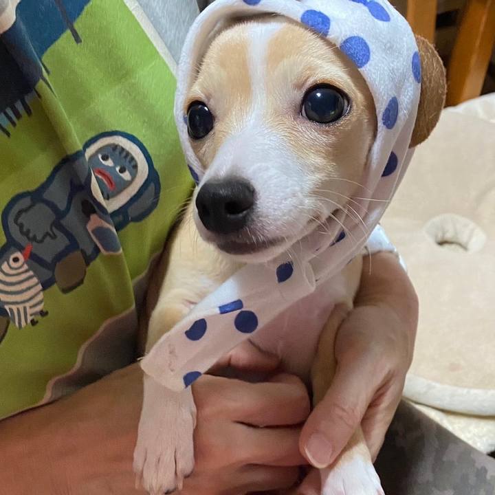 D98d3d29 2f75 46ac 8d5a 9072474cf4d6 1668383459868