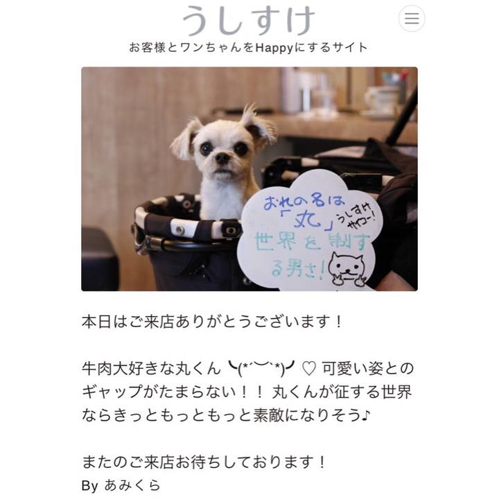 D98d4212 f323 4327 a52d 781255d4b443 1544270529570