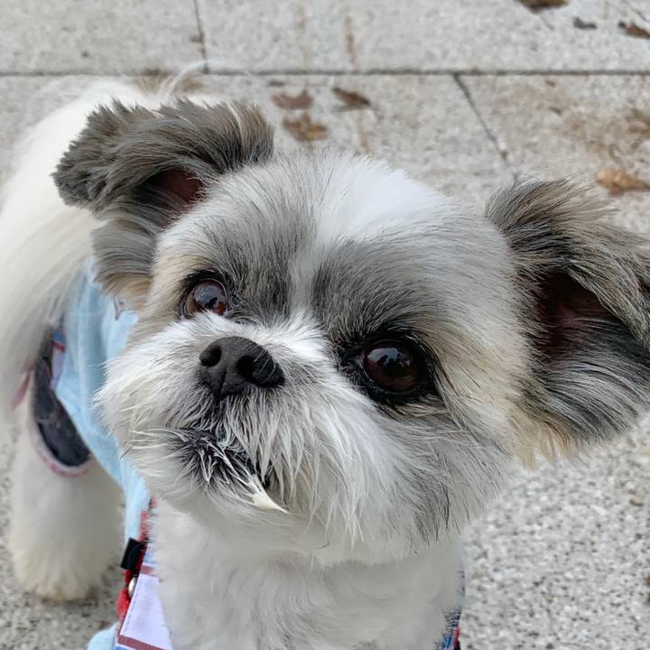 D98d538e 8253 4230 8707 f6364b6e7c9c 1572131222830