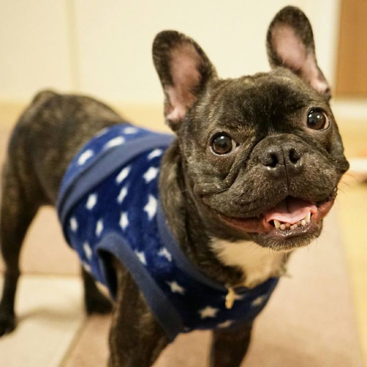 D98dac99 f88e 4c1e bf37 14c5dcba08d2 1510060429176