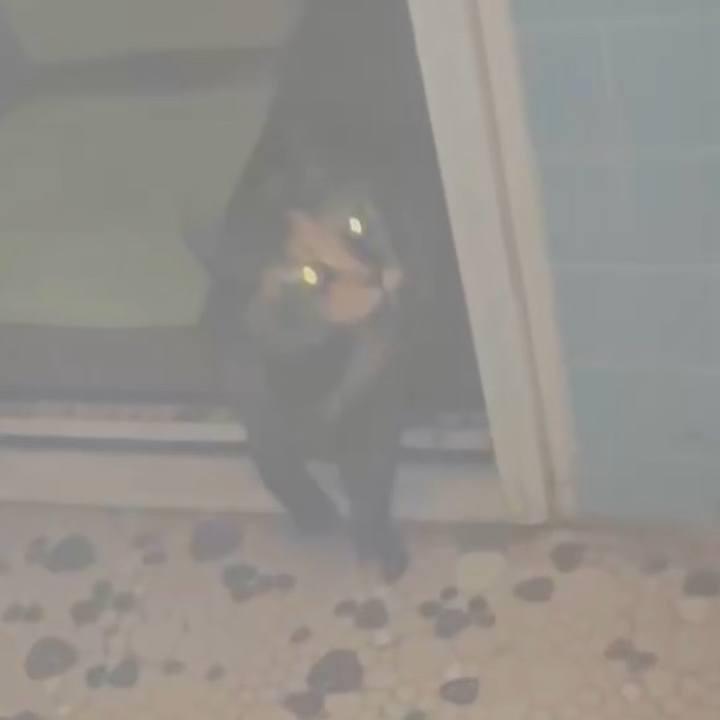 D98db53a 09fd 4b41 a0a5 b5224d0a3649 1767730691602