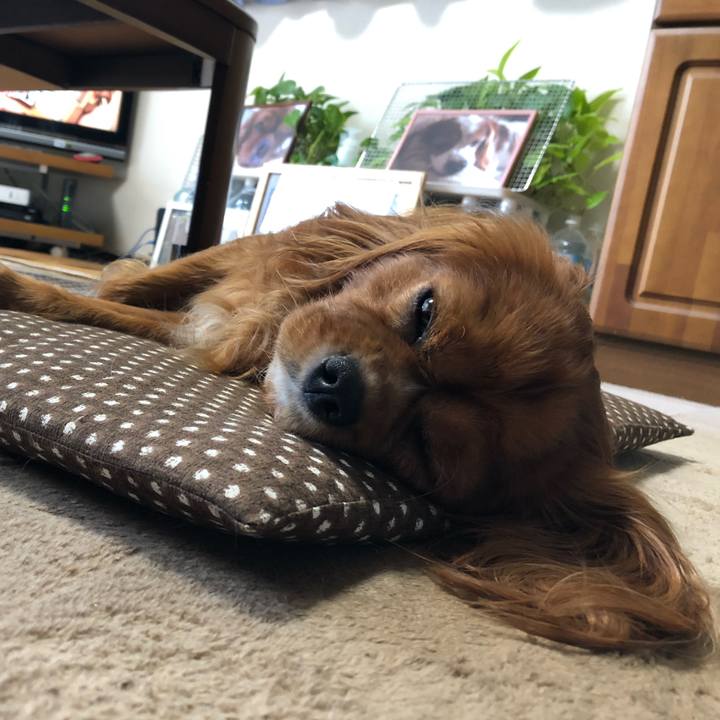 D98dbd5a 8d38 4f1f 93ce f0a5190afde6 1593641850604