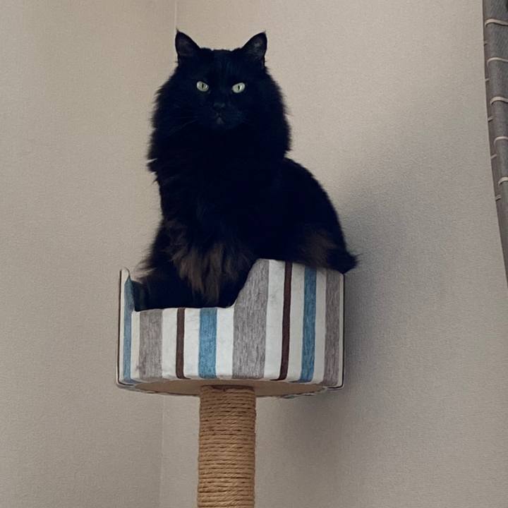 D98dc978 ae3c 490a 9a2f 5434e57902eb 1614385797893