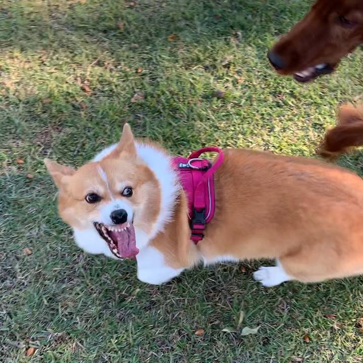 D98df710 1aa9 4dcb 9776 c31de9ab9f39 1634710491349