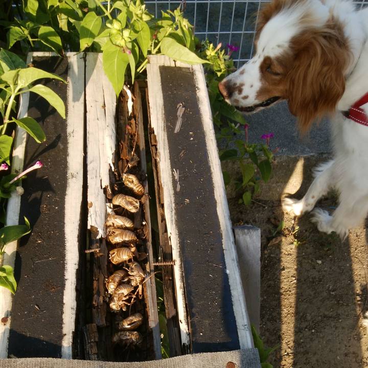 D98e11bd 3434 4e01 ac40 14259567f7f1 1531560657164