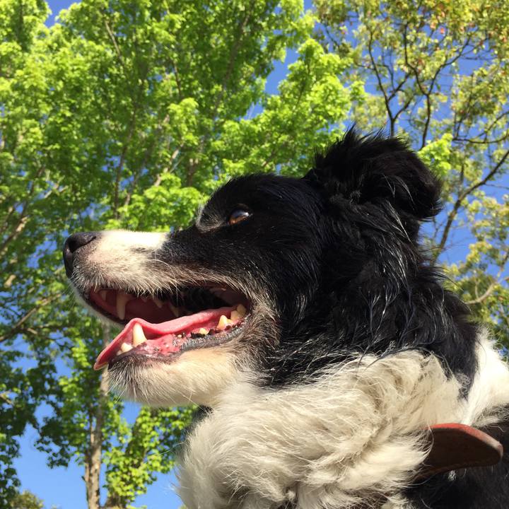 D98e20ba 59a7 49b4 bc8f bf7bd2a7b46b 1524266209125