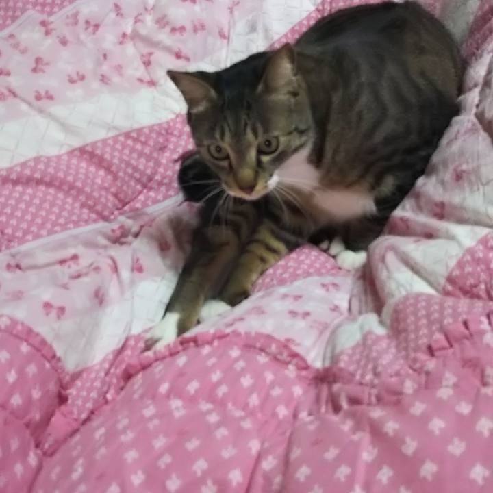 D98e5389 a440 4924 9ad0 125a2b77b9e0 1605923473299