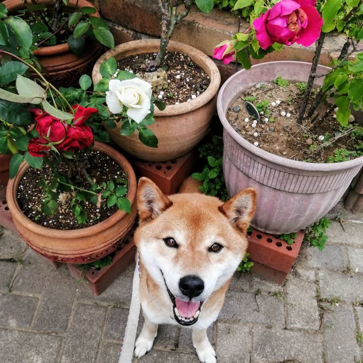 D98e61d0 495f 48bd 947b 61256e1e05f5 1620546329839