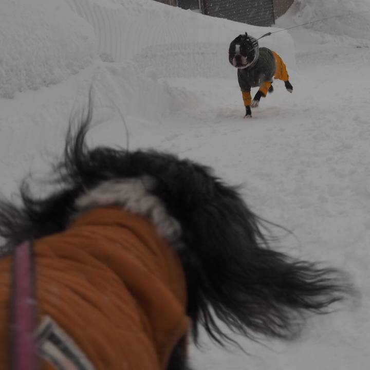 D98e6fd0 afae 4bb6 9962 44284f8774ed 1546157054929