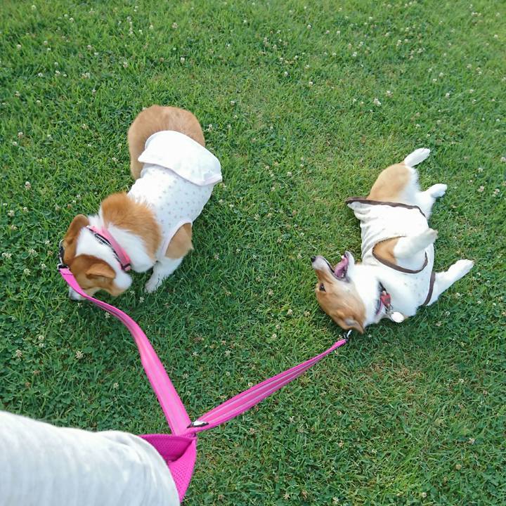 D98ea134 5414 498f b766 67cb05181de5 1528157279088