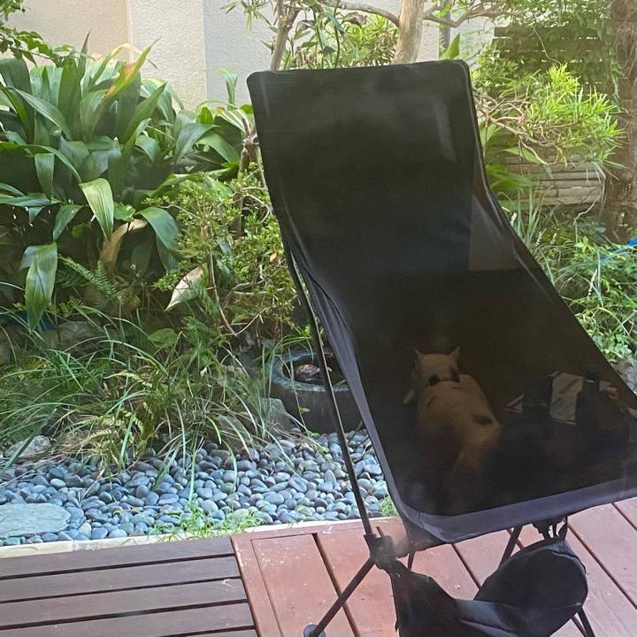 D98edc98 279a 4ca9 bcf3 42f18b45e727 1757629137616