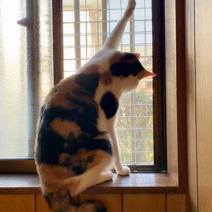 D98eebea 533b 4c29 b39f 23497e771b4f 1548988727514